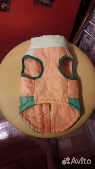 Одежда для собак