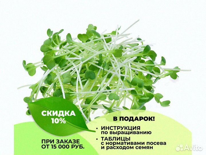 Семена весовые микрозелень