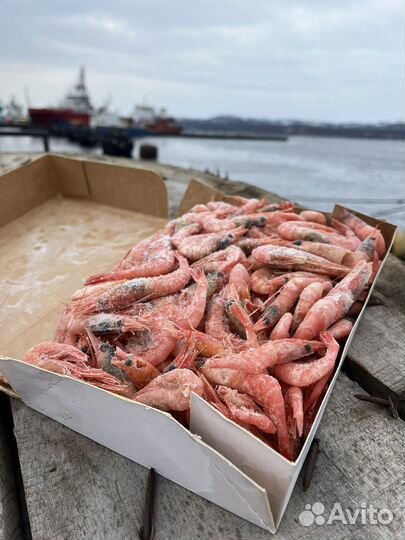 Креветка северная 150+