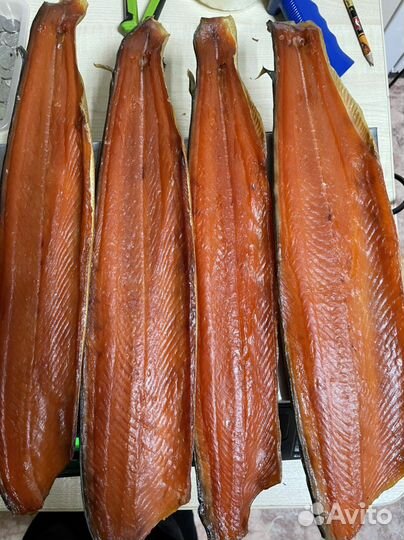 Филе лососевых х/к