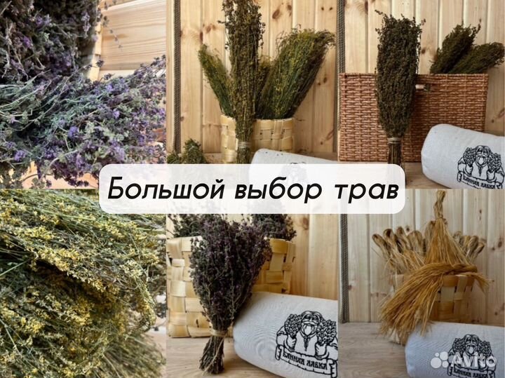 Дубовые веники для бани