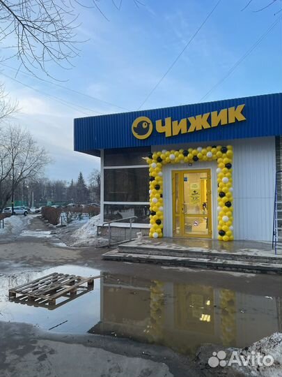 Арка гирлянда из шаров на открытие Москва и мо