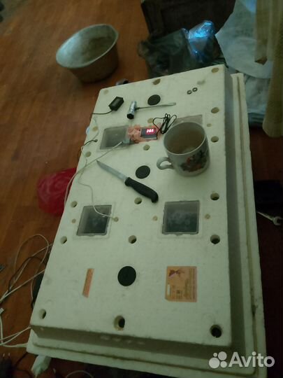 Инкубатор золушка 98