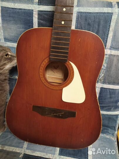 12 ти струнная гитара 
