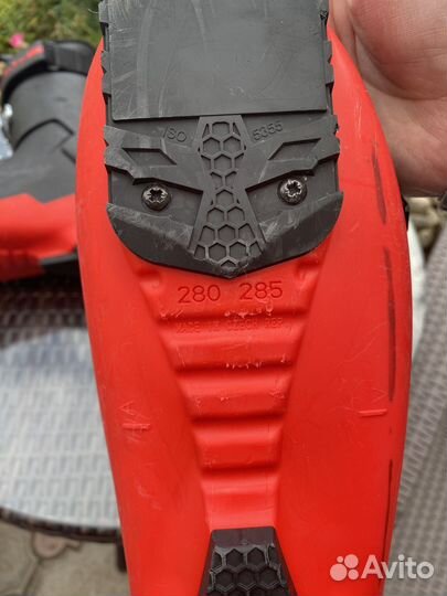 Горные лыжи комплект