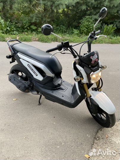 Honda Zoomer-X 110 cc