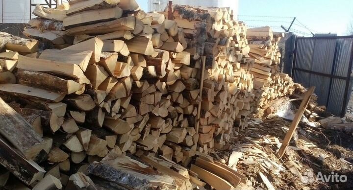 Дрова береза