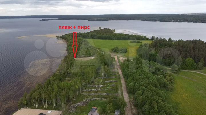 Участок 11 сот. (СНТ, ДНП)