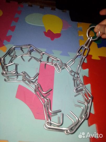 Строгий ошейник для собак