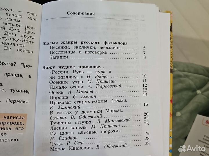 Литературное чтение 2 класс