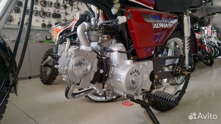 Мопед 110 кубов Motoland Alpha 11