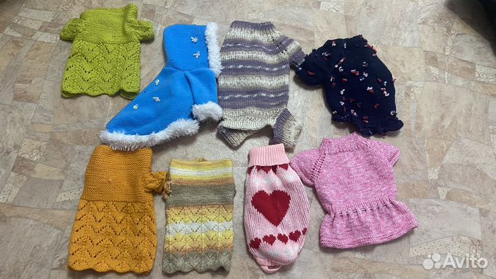 Одежда для собак