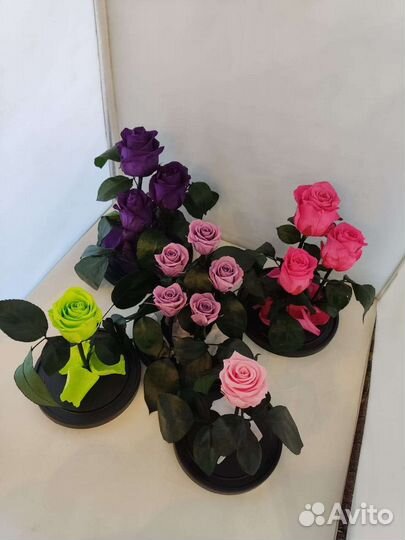 Роза в колбе оптом