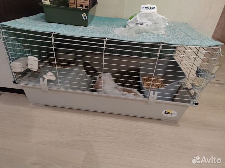 Клетка для грызунов большая
