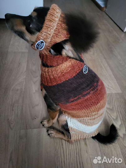Свитер и шапка на собаку