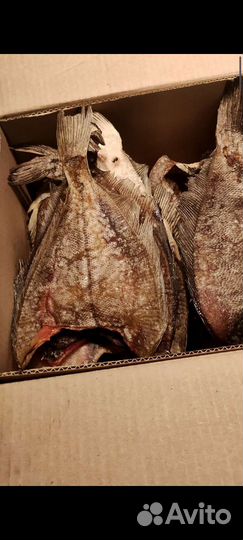 Камбала-ерш (вяленая), ленок с/м