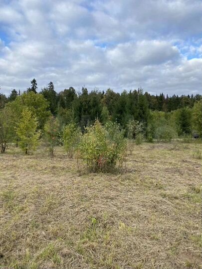 Участок 11,6 сот. (ИЖС)