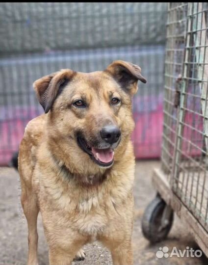 Жду тебя мама