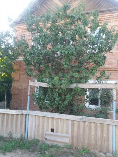 Дом 105 м² на участке 4 сот.