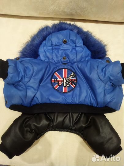 Продам комбез на собачку