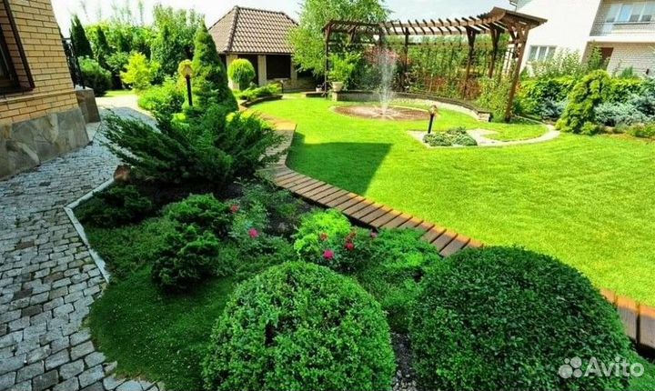 Озеленение / Укладка газона / Живой газон