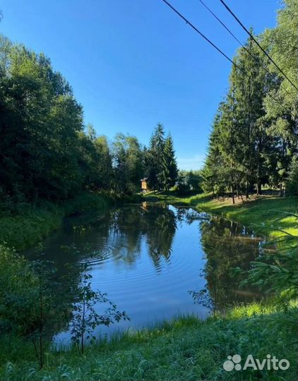 Платная рыбалка