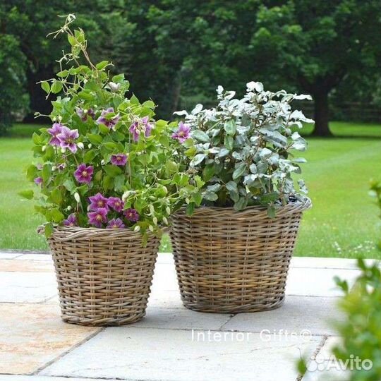 Кашпо для дома и сада