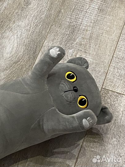 Котёнок батон