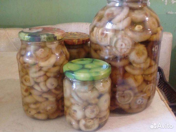 Грузди соленые
