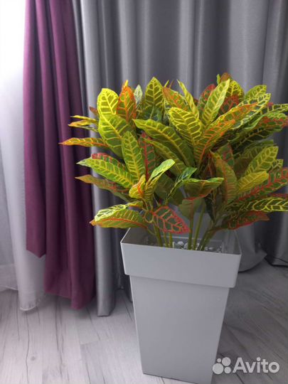 Кротон искусственный