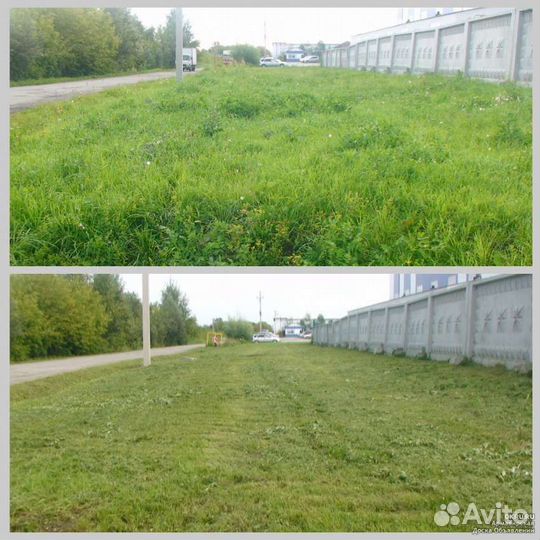 Покос травы