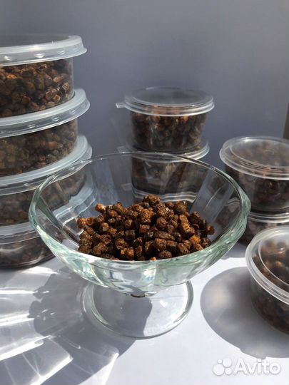 Перга пчелиная