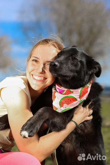 Одинокая Берта ищет дом