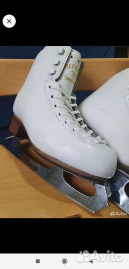 Risport excellence коньки 215 стелька 20,3 см