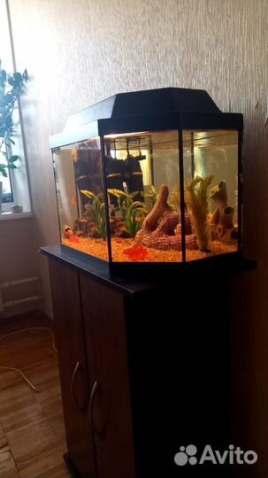 Аквариум с тумбой 45 литров