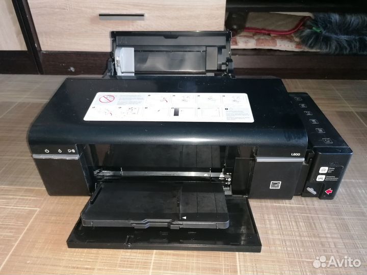 Epson l800