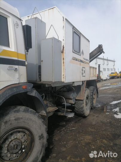 КАМАЗ 43118 с КМУ, 2010