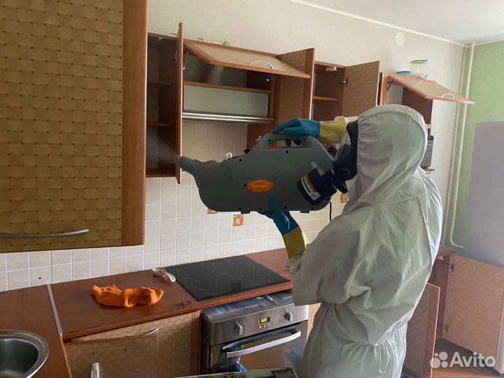 Уничтожение клопов тараканов Обработка от клещей