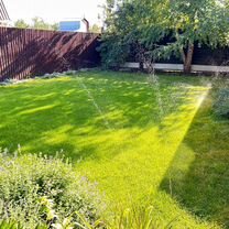 Озеленение и благоустройство