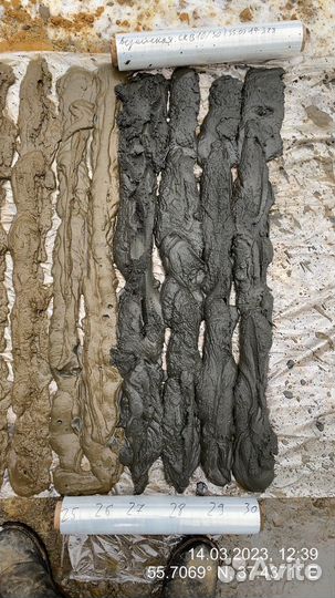 Полевой инженер-геолог