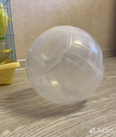 Клетка для хомяка, шарик для хомяка. Корм