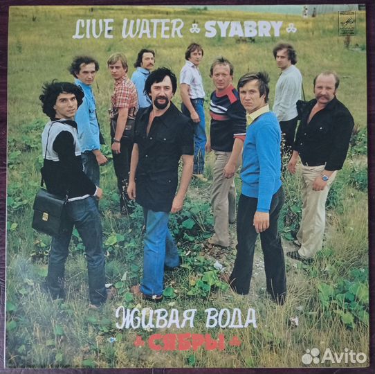 Виниловая пластинка - виа 