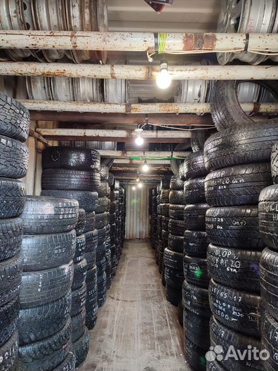 Gislaved Nord Frost 200 205/50 R17