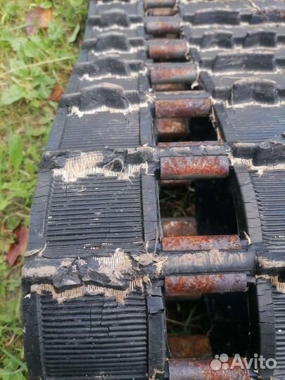 Гусянка на рысь 121