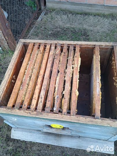 Ульи для пчел бу