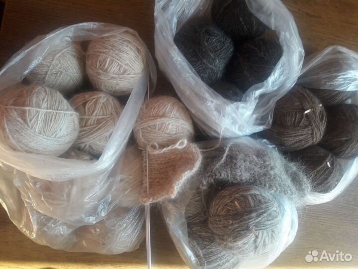 Спряду собачий пух