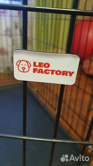 Клетка вольер для собак