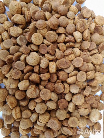 Корм для собак