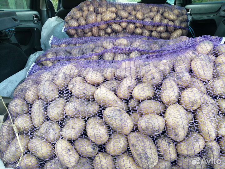 Картофель с доставкой