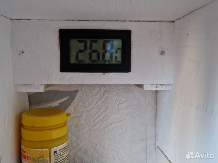 Аквариум тетра каскад клод